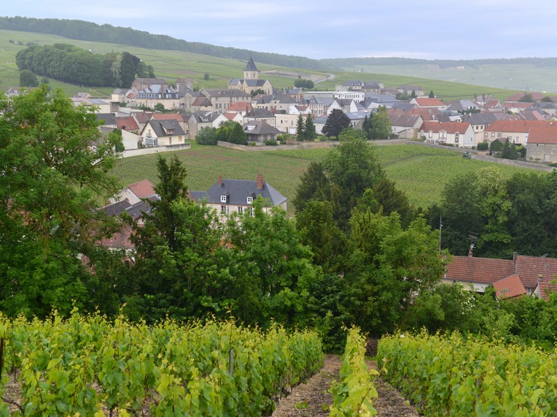 Paysages-du-Mesnil-sur-Oger
