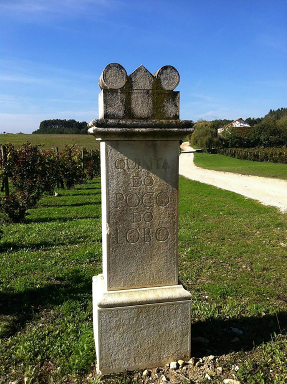 IMG446_Caves_Sao_Joao_7_Poco_do_Lobo_2