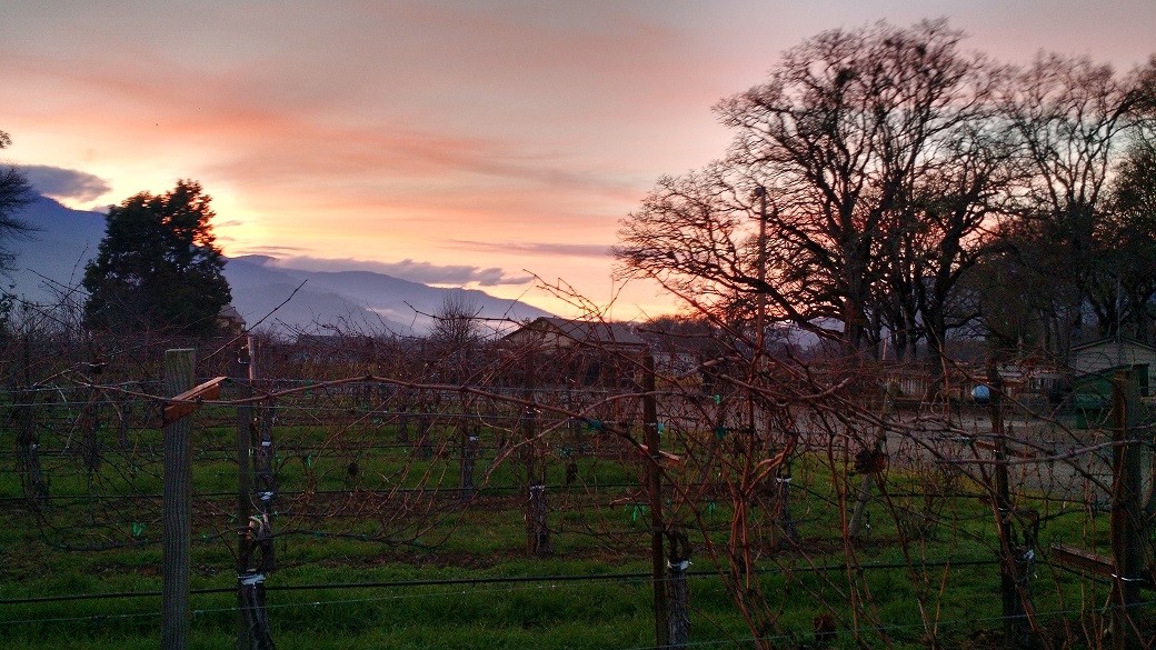 12493544_943281682420847_3011118639526085955_o