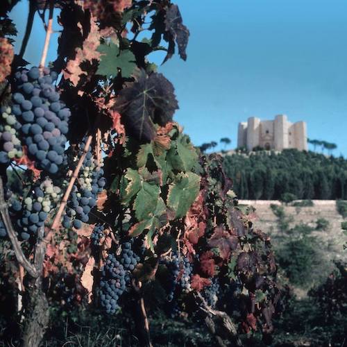 castel del monte.jpg