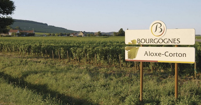 aloxe-corton