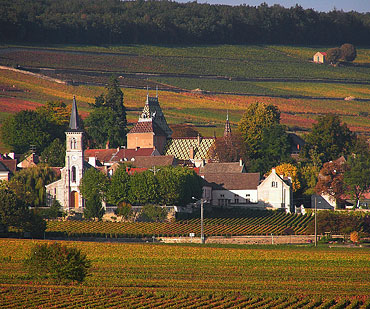 vue-aloxe-corton-2