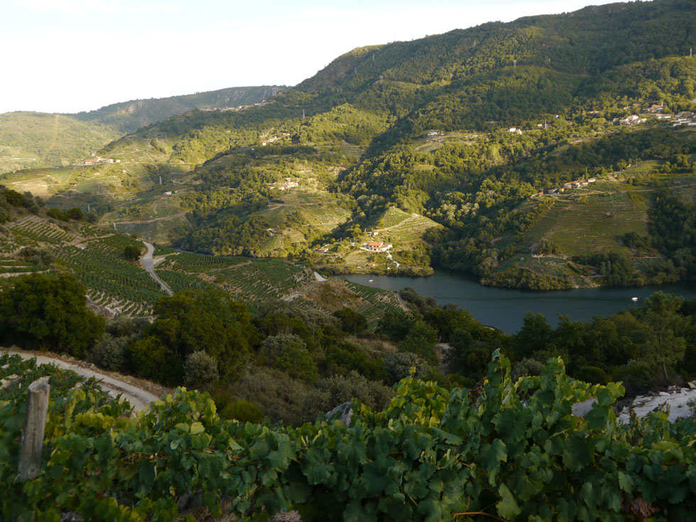 ribeira_sacra_landscape