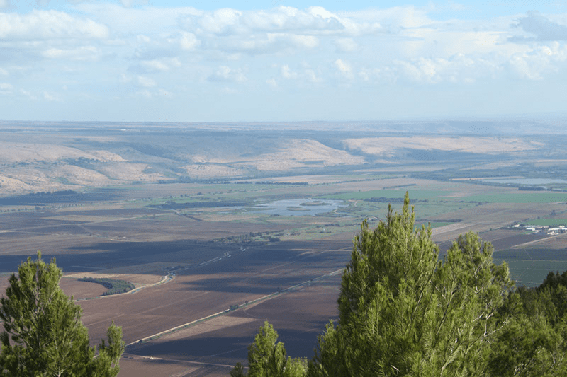 looking at golan heights