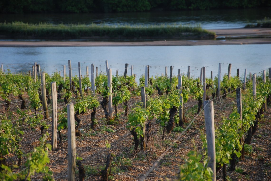 457565_375082502549821_2017239566_o