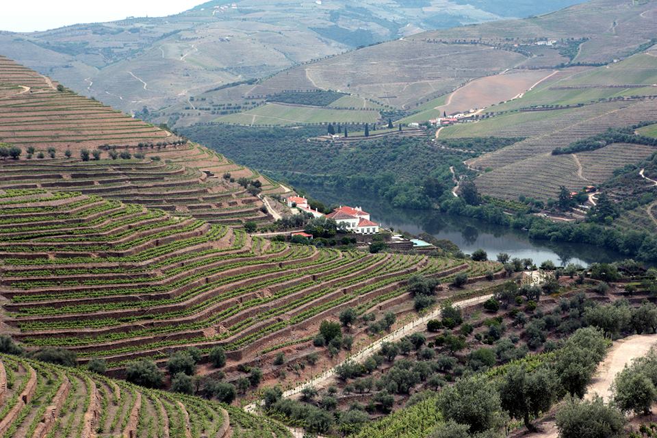 12821439_1070672279664240_597514961320464009_n