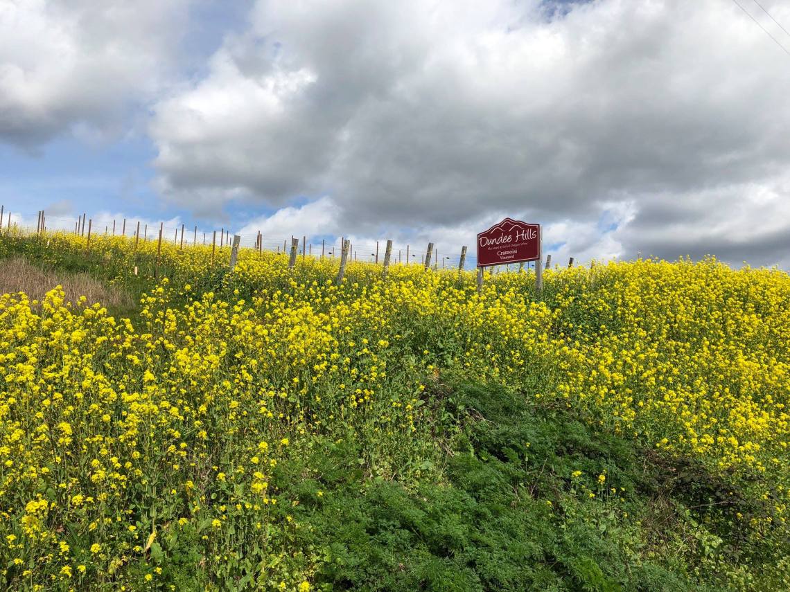 30697595_10155733930059332_4978265394151161856_o