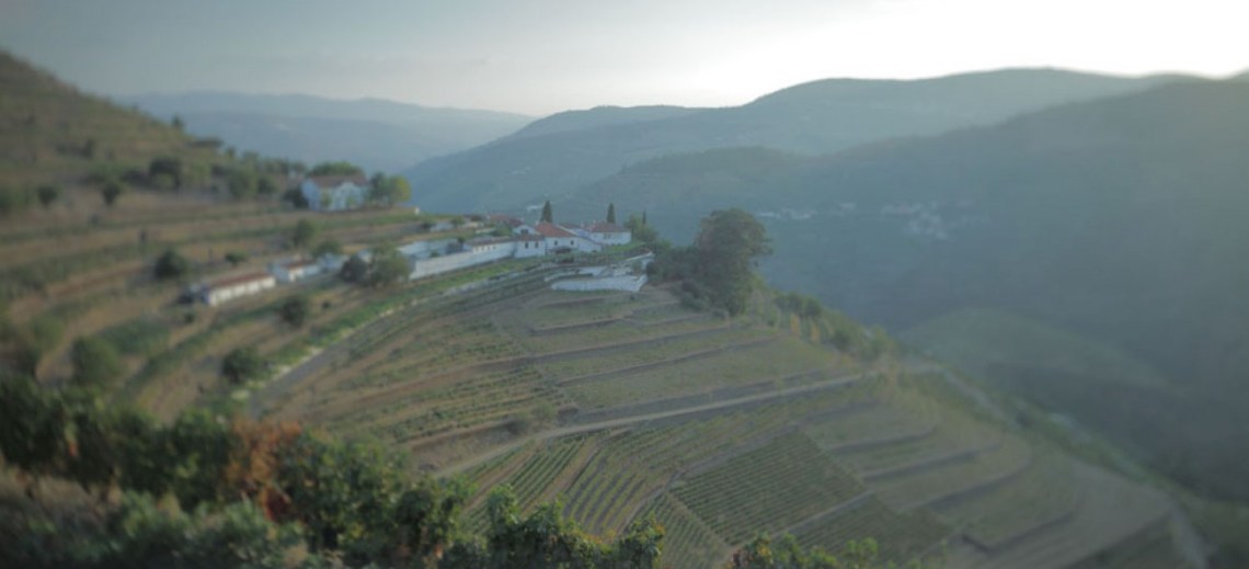 big_1e4c1ea5438ae16c376345e66686001a