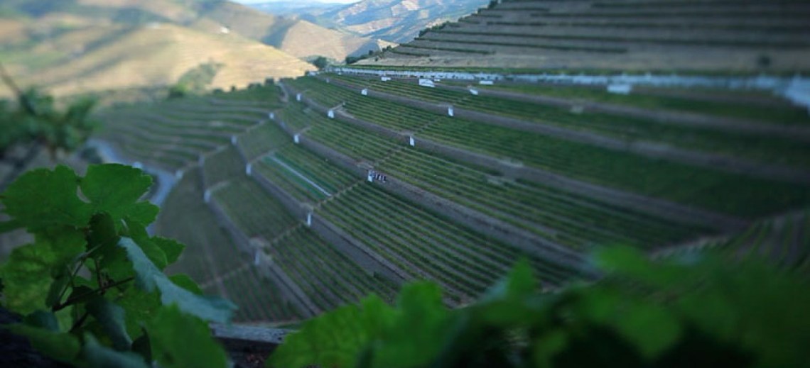 big_81b10aafb59a59d4d8fb551cfc0916aa