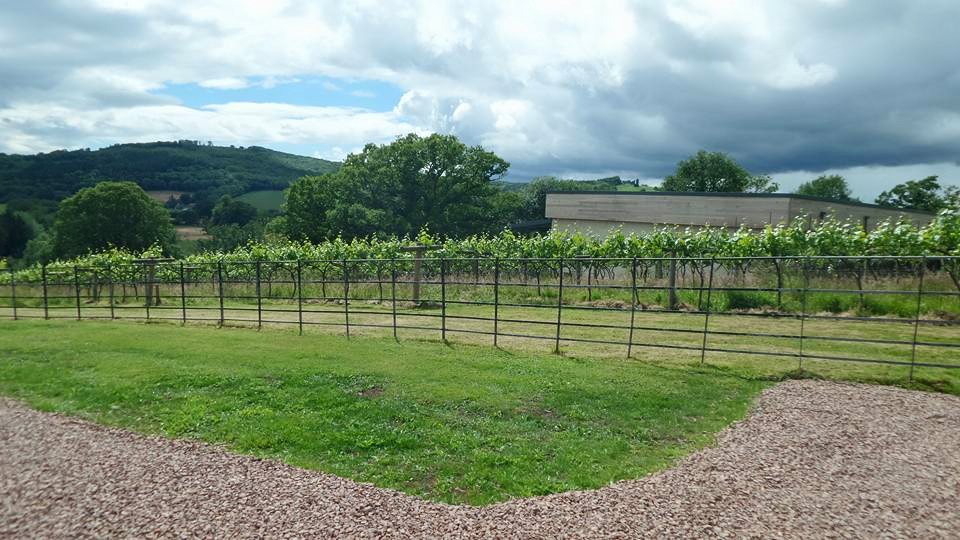 11174792_10206648356024560_5999857932091231094_n