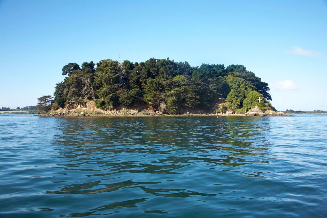 337_00-2018-07-05-0220