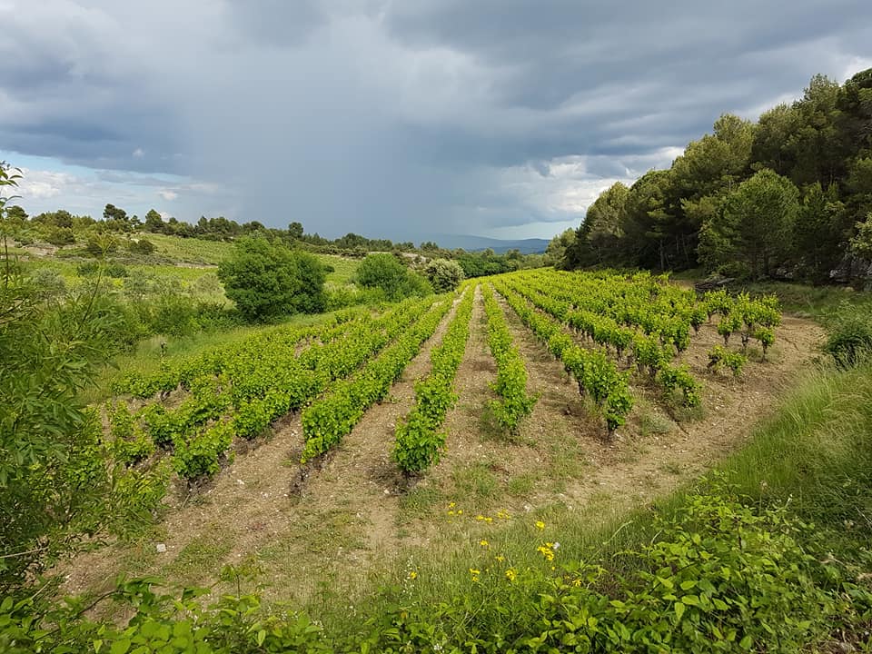 34118851_1003111733174503_7981771363234873344_n