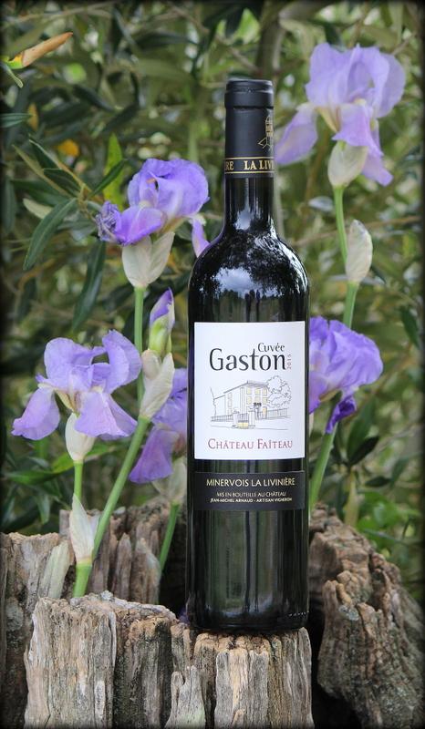 IMG_0982.JPG.opt466x800o0,0s466x800