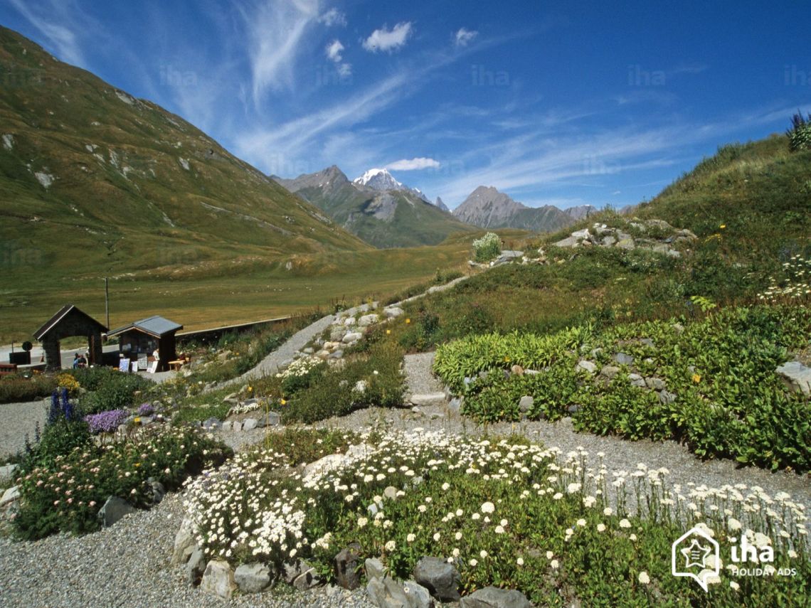 La-rosiere-1850-Der-botanische-garten-von-den-col-du-petit-saint-bernard