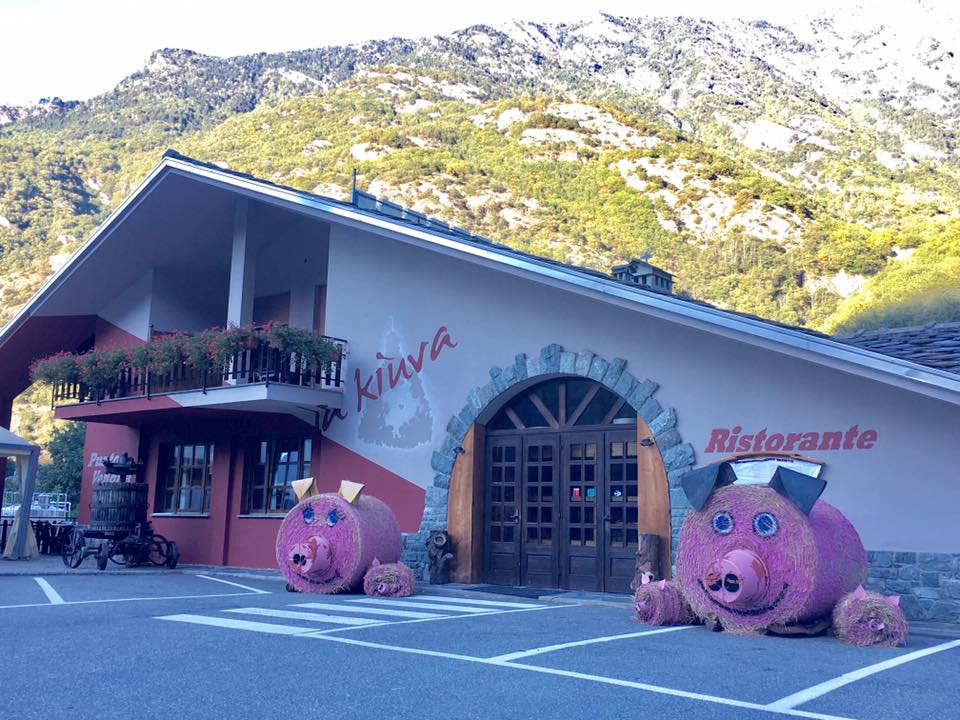 21687447_832927773537653_5950484432271594952_n