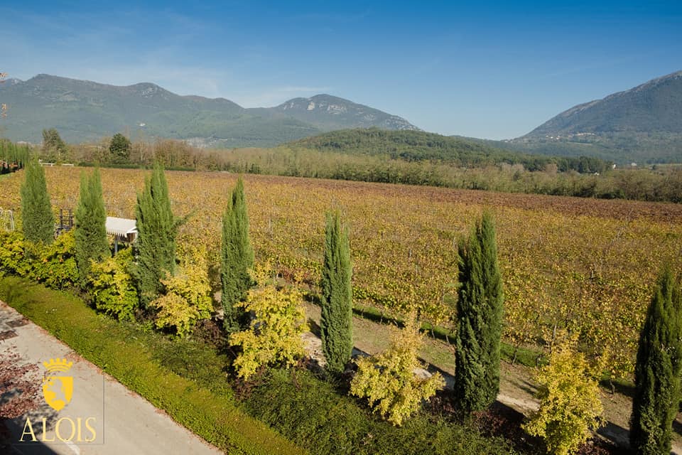 47580656_1003650303159172_2892718885411225600_n