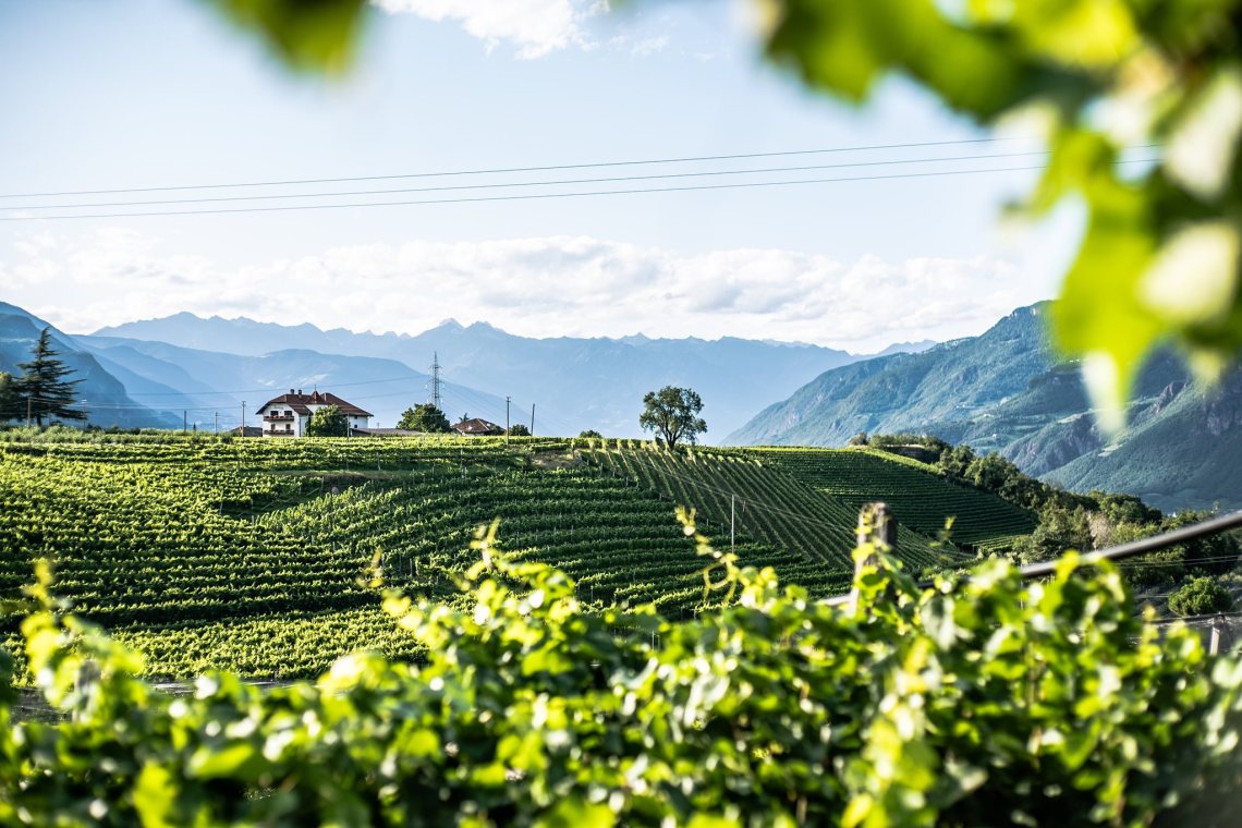 69041389_3045493992188283_4419771430644744192_o