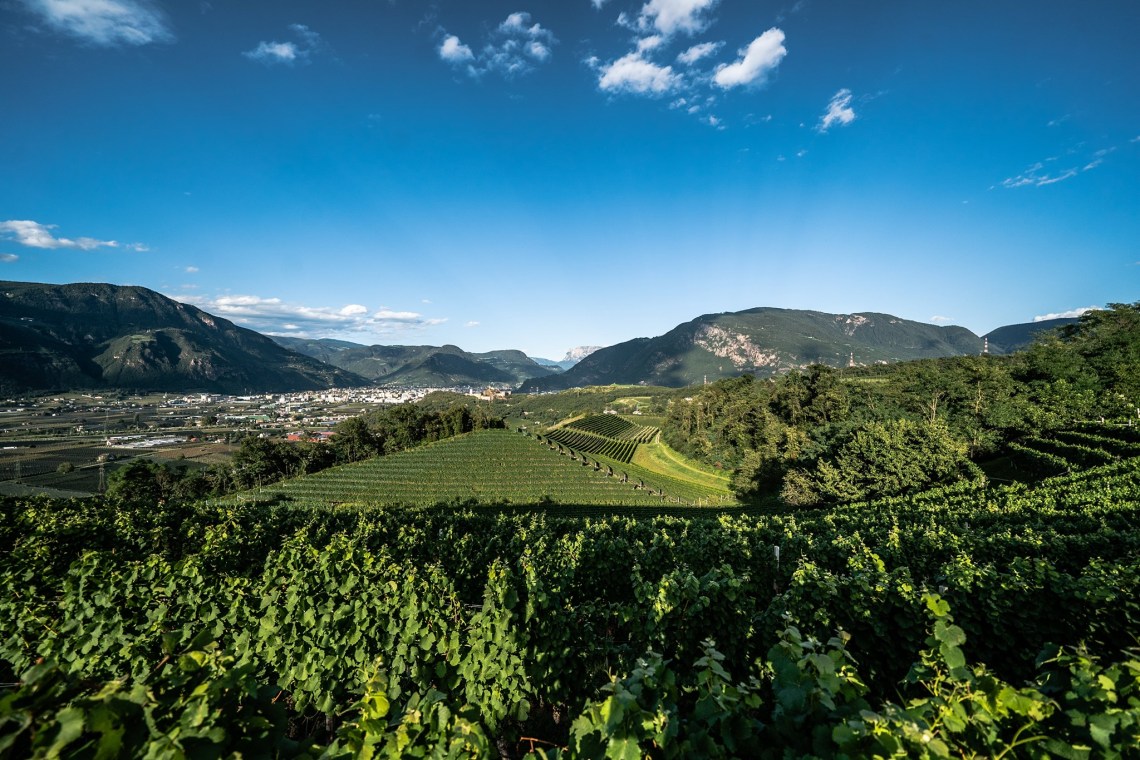 69465164_3045494005521615_3014208177181818880_o