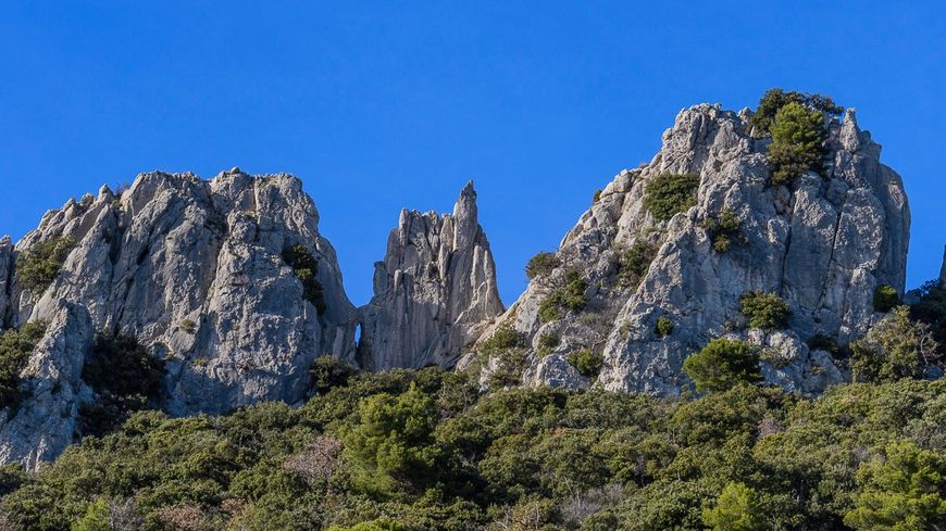 870x489_dentelles_montmirail
