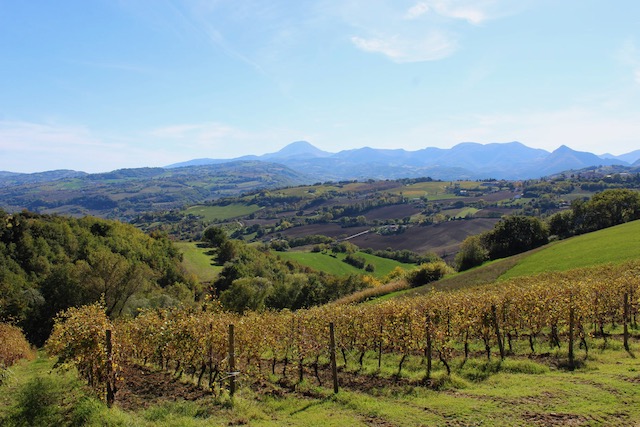 122157260_3383638111724856_8300540548727332785_o