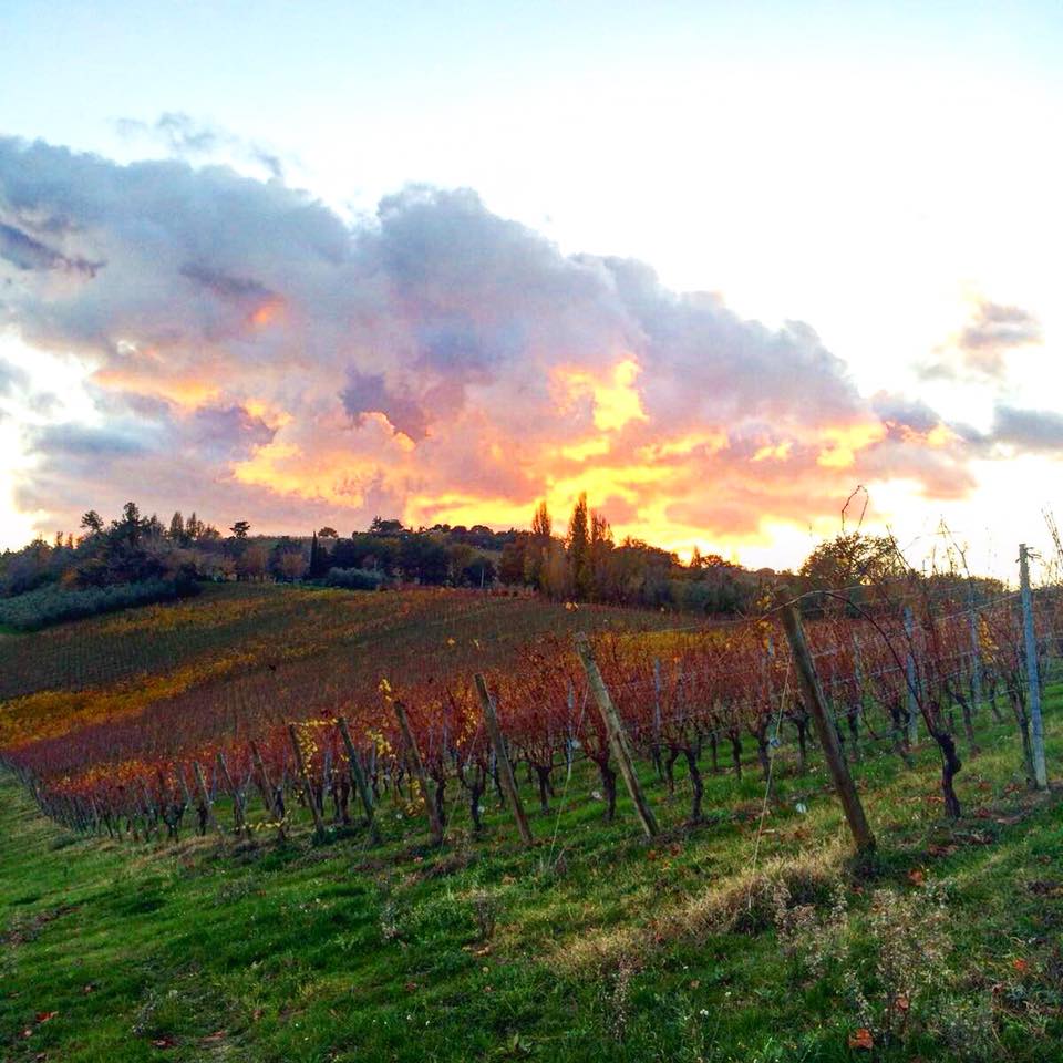 24174161_1947282975299314_2306819314724720721_n